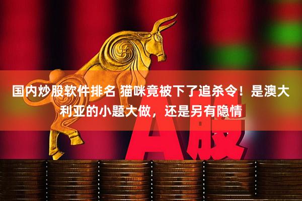 国内炒股软件排名 猫咪竟被下了追杀令！是澳大利亚的小题大做，还是另有隐情